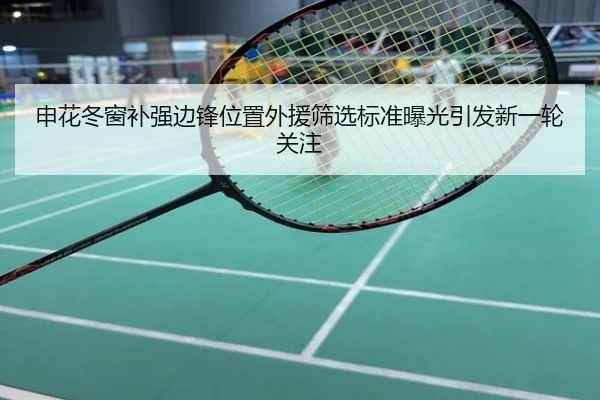 申花冬窗补强边锋位置外援筛选标准曝光引发新一轮关注